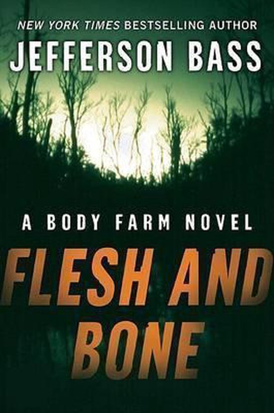 Flesh and Bone - cover