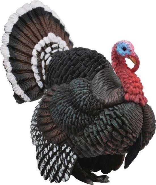 Collecta Kalkoen