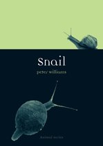 Animal - Snail