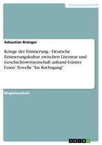 Kriege der Erinnerung - Deutsche Erinnerungskultur zwischen Literatur und Geschichtswissenschaft anhand Günter Grass' Novelle 'Im Krebsgang'