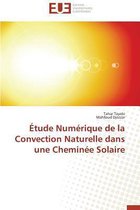 Omn.Univ.Europ.- �tude Num�rique de la Convection Naturelle Dans Une Chemin�e Solaire