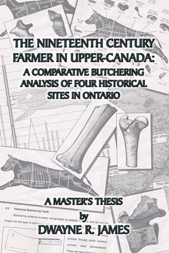 The Nineteenth Century Farmer In Upper-Canada - cover