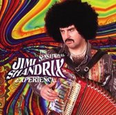 The Sensational Jimi Shandrix Experience - Electric Landlady (CD)