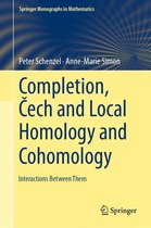 Springer Monographs in Mathematics - Completion, Čech and Local Homology and Cohomology