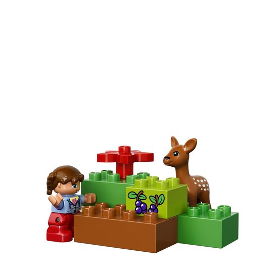 LEGO DUPLO Het Grote Bos - 10584 | bol.com
