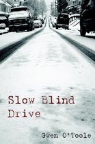Slow Blind Drive