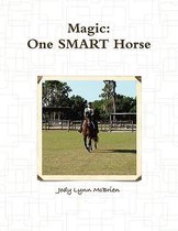 Magic One SMART Horse