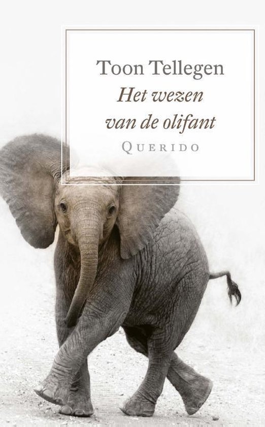 Het wezen van de olifant - Toon Tellegen | Do-index.org