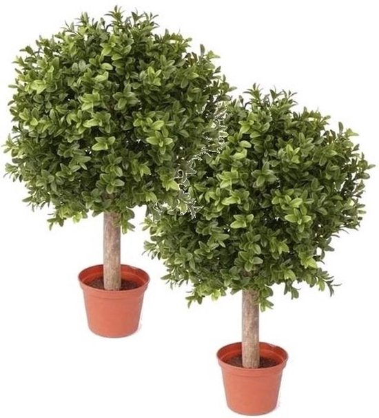 2x Buxus bol kunstplant op stam in pot 35 cm - Kunstplanten/Nepplanten | bol .com