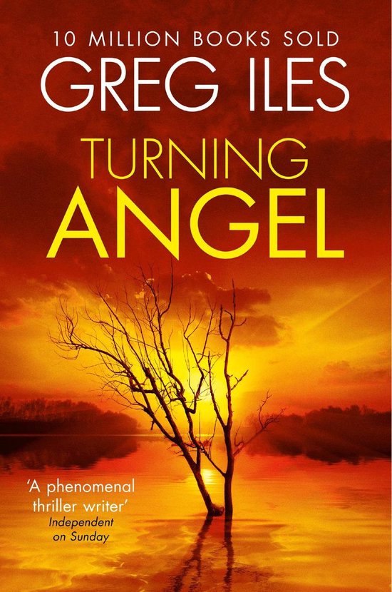 Turning Angel - cover