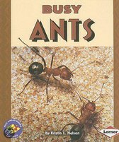 Busy Ants