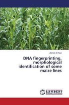 DNA fingerprinting, morphological identification of some maize lines