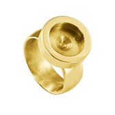 Quiges RVS Schroefsysteem Ring Goudkleurig Glans 17mm met Verwisselbare Glitter Goudkleurig 12mm Mini Munt