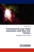 Femtosecond Laser Pulse Interaction with Rare Gas Clusters