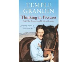 Thinking In Pictures