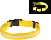 LED Halsband GEEL - L