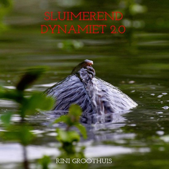 Sluimerend Dynamiet 2.0