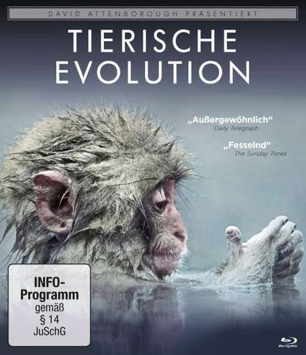 David Attenborough: Tierische Evolution/Blu-ray