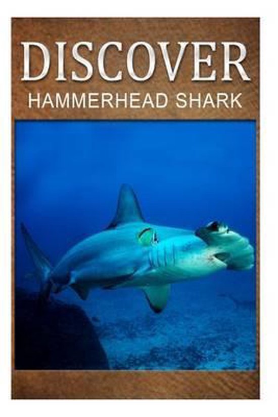 Hammerhead Shark - Discover - cover