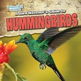 A Bird Watcher's Guide to Hummingbirds