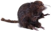 rat realistisch