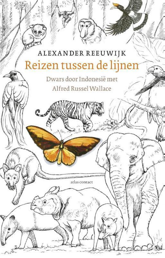 Cover van het boek 'Reizen tussen de lijnen' van Alexander Reeuwijk