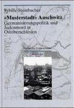 Darstellungen Und Quellen Zur Geschichte Von Auschwitz- "Musterstadt" Auschwitz