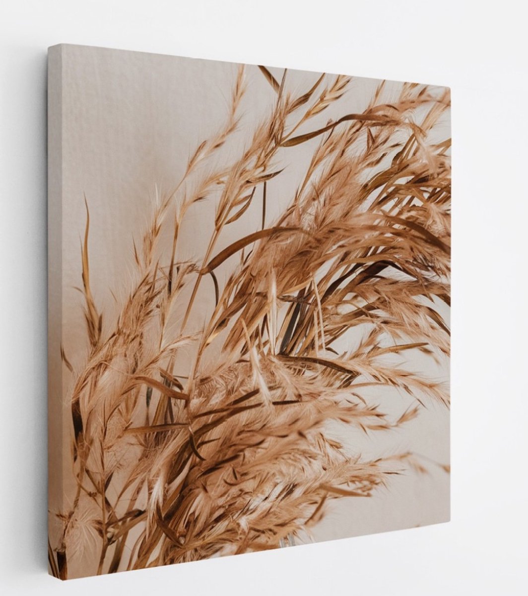 Saammp Canvas Schilderij - Sierlijke Pampasgrassen - Natuur - Abstract - 40x40 - Foto op canvas - Wanddecoratie - Muurdecoratie Woonkamer - Kantoor Decoratie Multicolor