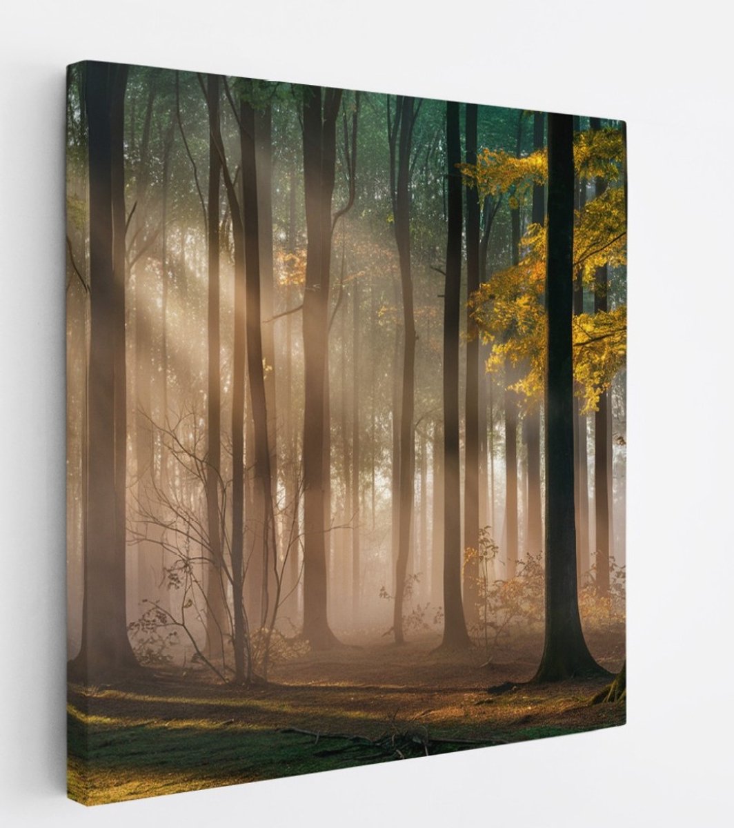Saammp Canvas Schilderij - Bos met zonneschijn- Landschap - Bloemen - Natuur - 100x100 - Foto op canvas - Wanddecoratie - Muurdecoratie Woonkamer - Slaapkamer decoratie - Canvas Print Multicolor