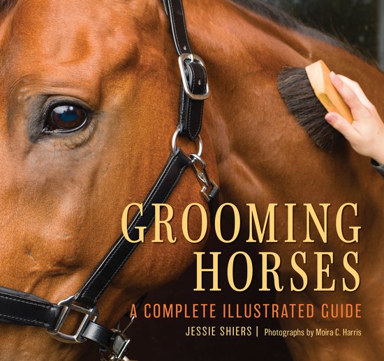 Grooming Horses - cover