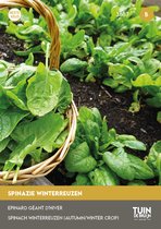 Tuin de Bruijn® zaden - Spinazie Winterreuzen - ca. 15 gram zaden - Winter spinazie - september en oktober zaaien