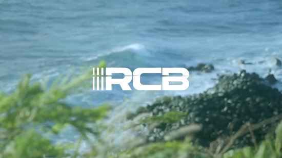 RCB Elektrische fiets - 26 inches - Max 25km/u - 250W motor -Tot 35-70 km - Met multifunctionele fietstas -Zwart