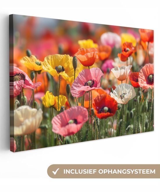 Tableau sur toile 90x60 cm - Décoration murale Champ de fleurs - Coquelicots - Coloré - Décoration murale salon - Décoration chambre - Accessoires chambre - Peintures sur toile