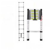Bol.com Aluminium Telescopische Ladder Zyren - 260CM - Vouwladder met Antislipvoeten - Multifunctionele Verlenging - Rechte Ladd... aanbieding