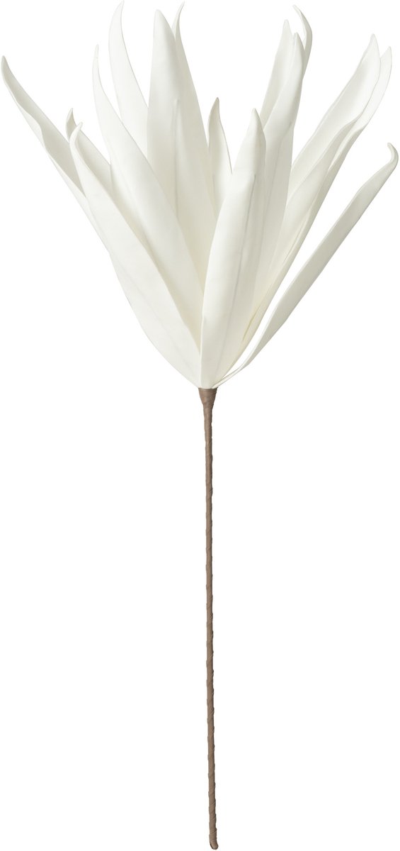 J-Line Bloem Tak Lange Bladeren 1 Kop Eva - polyresin - wit - 6 stuks