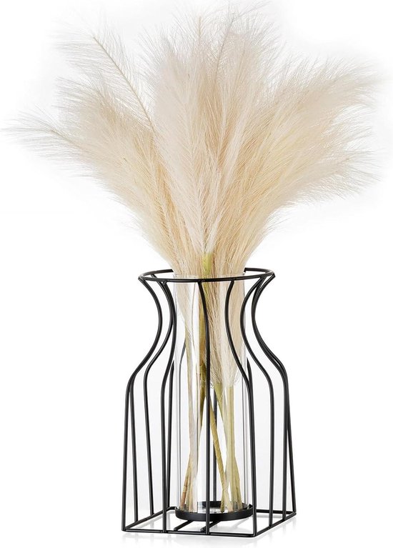 Pampas Gras Cortaderia In Een Glazen Vaas En Een Mockup Schilderij In Van Modern Huis Image282681717