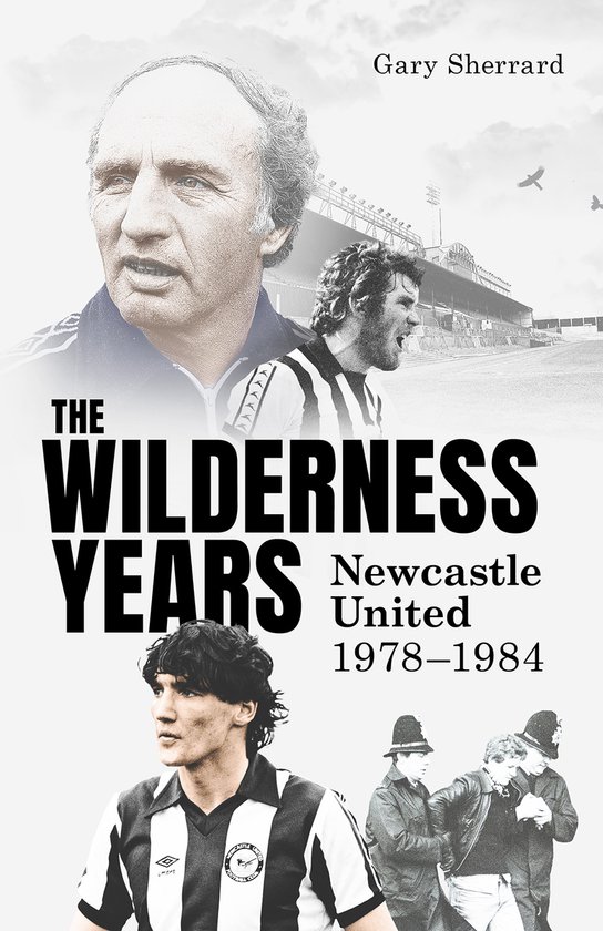 The Wilderness Years - cover