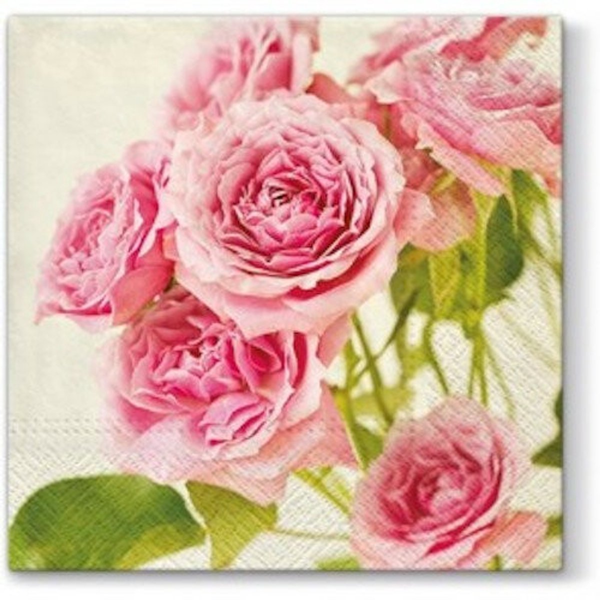 PAW Lunch servetten - Pink Roses