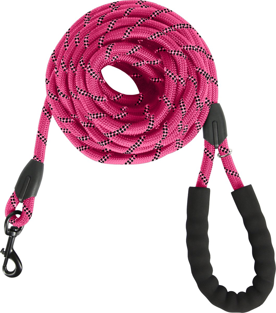 KCMultisupplies Hondenriem 8 Meter - Reflecterende Hondenlijn - Met Gevoerd Handvat - Geschikt voor Grote en Kleine Honden - Nylon Looplijn