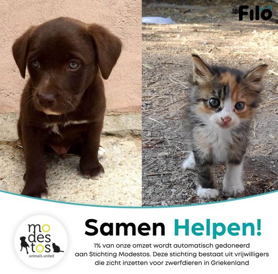 Een bruine puppy en een schildpad kitten, met tekst over donaties aan Stichting Modestos.