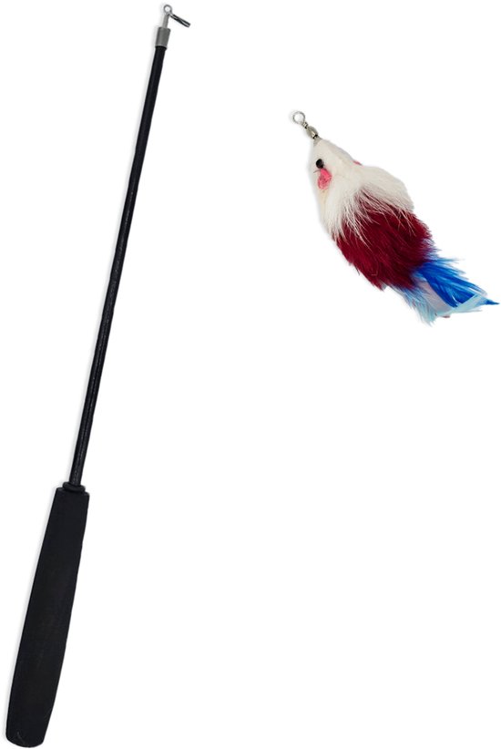 Zwarte kattenhengel met een speeltje van witte, rode en blauwe veren in de vorm van een vogel.