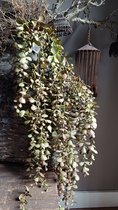Kunsttak eucalyptus hangend groen