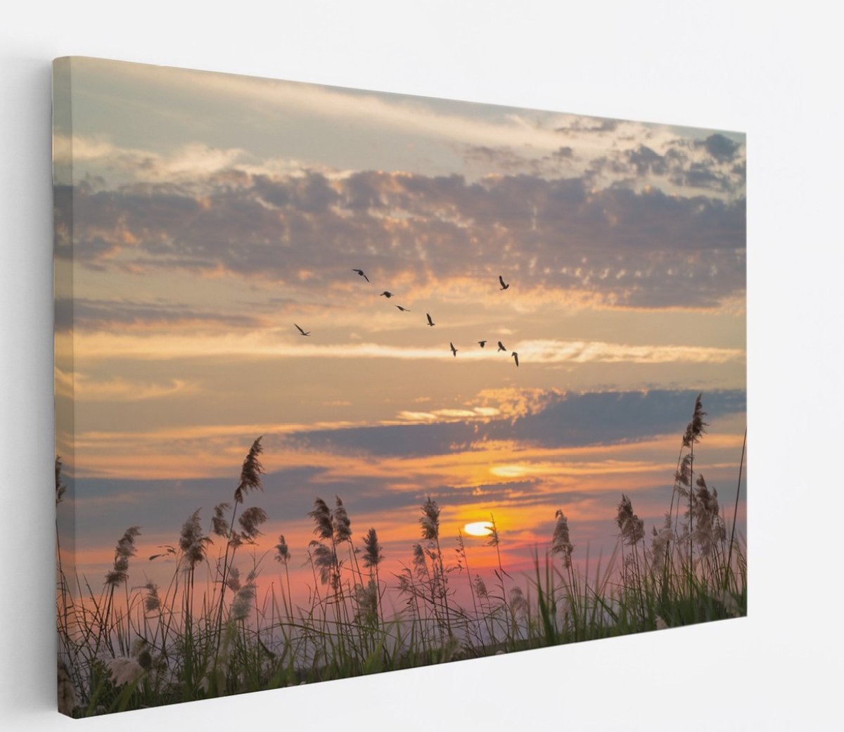 Saammp Canvas Schilderij - Nederland Tijdens zonsondergang - Zonsondergang - Landschap - Natuur - 150x100 - Foto op canvas - Wanddecoratie - Muurdecoratie Woonkamer - Slaapkamer decoratie - Canvas Print Multicolor