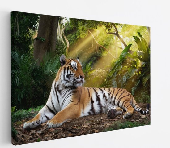 Saammp Canvas Schilderij - Tijger in de zon - Natuur - Dieren - 90x60 - Foto op canvas - Wanddecoratie - muurdecoratie Woonkamer - Slaapkamer decoratie - Canvas Print