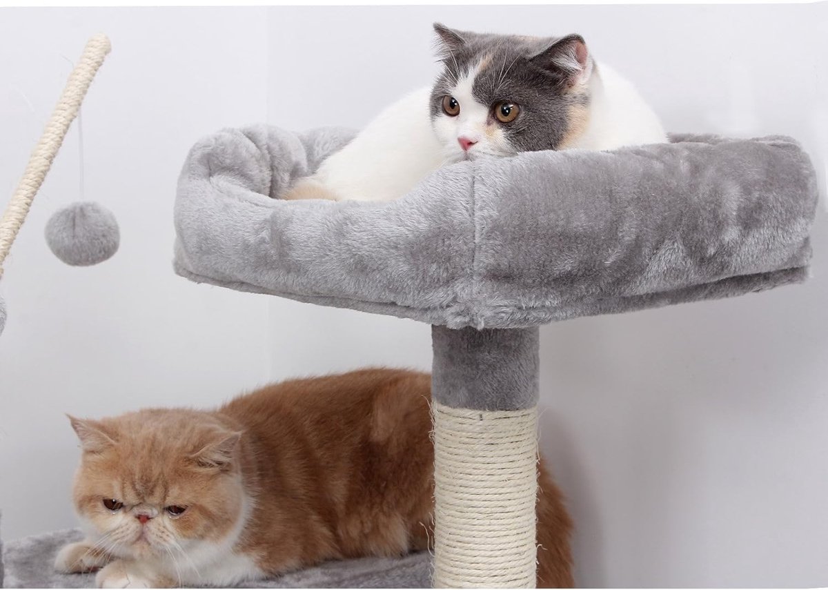 Vasagle Krabpaal groot, 154 cm hoog, XXL kattenboom,2 platforms, mand, hangmat, pluche ballen, meerlaagse kattenkrabpaal, lichtgrijs thumbnail 3