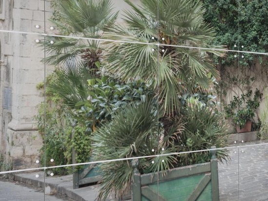 IXXI Scène de Rue Botanique - Décoration murale - Fleurs et Plantes - 100 x 140 cm
