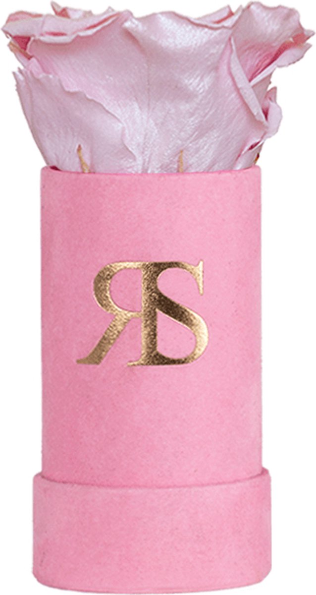 Flowerbox Longlife Ivy "You Are Delicious" Metallic Roze – Rosuz - Echte roos! 3 jaar houdbaar - Gratis cadeau verpakt - Luxe Valentijnsdag Cadeautje voor Haar