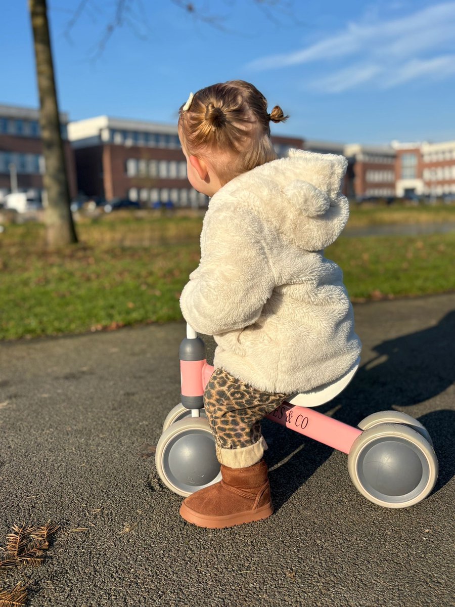 Liefjes & Co Loopfiets / Driewieler vanaf 1 Jaar Roze — afbeelding 3