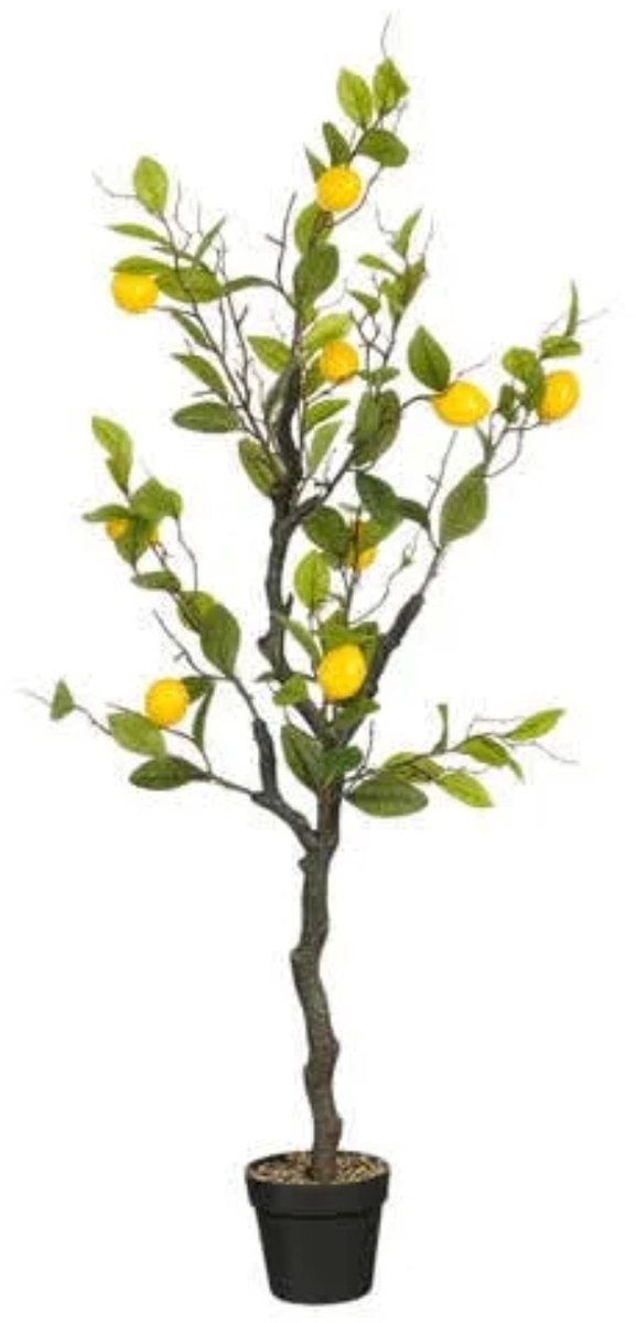 Mica Decorations Kunstplant Citroenboom H120xD50cm Groen