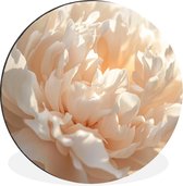 WallCircle - Cercle mural - Cercle mural - Gros plan - Pivoine - Rose clair - Aluminium - Dibond - 60x60 cm - Intérieur et extérieur